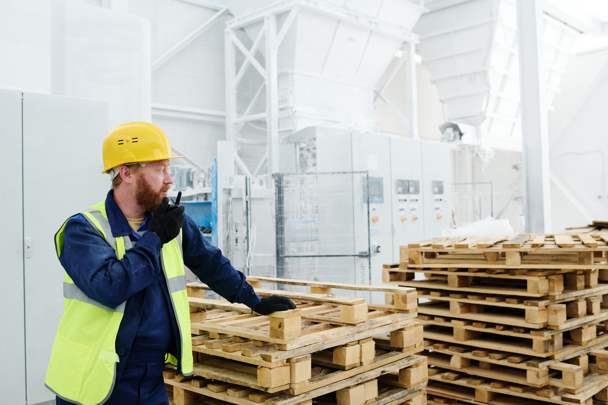 Методы фитосанитарной обработки: термообработка и фумигация